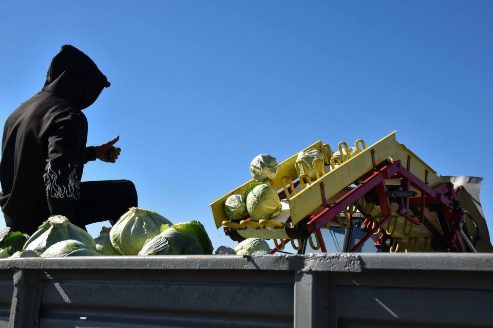 ������� ��������� ��� ������� ����������