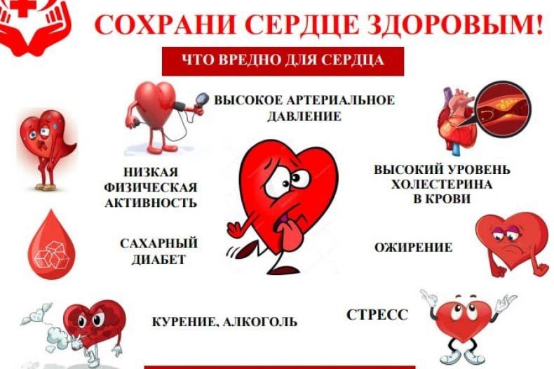 �������� ������� ����� �������� ��������-���������� �����������
