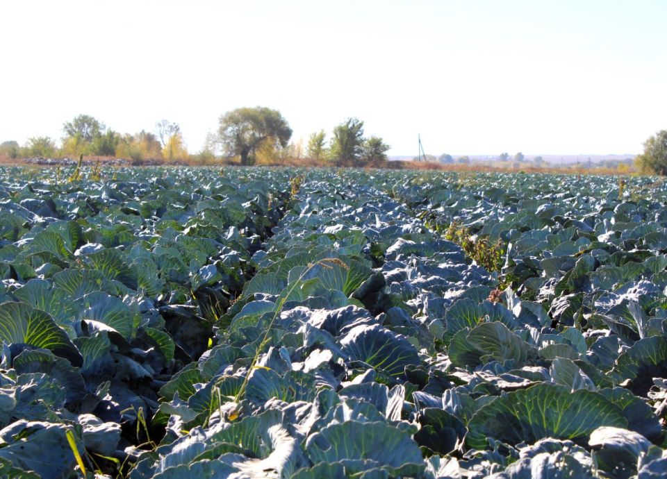 ������� ������� ��������� ��������� � �������������� ��������� �������� ���������� ������� ������� � ������� ������� ������� ���������