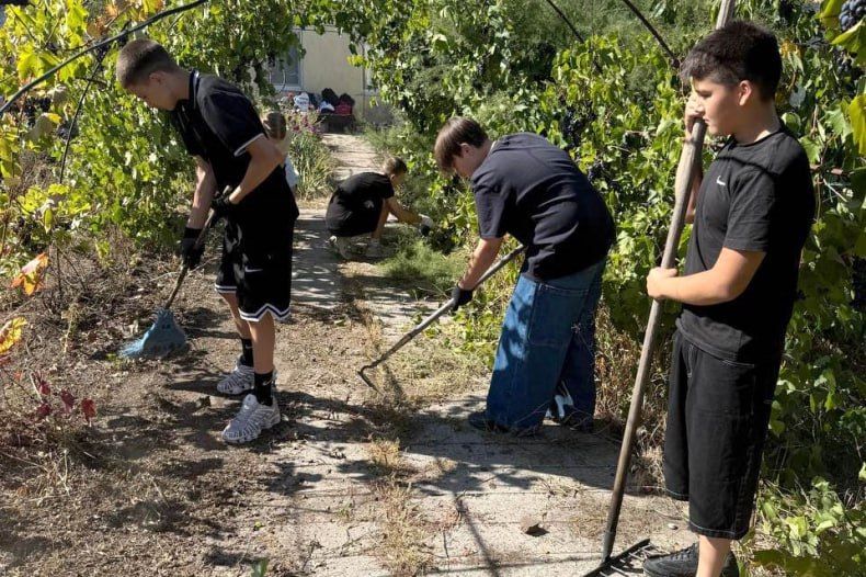 Свердловские волонтёры помогают пожилым людям подготовиться к зиме