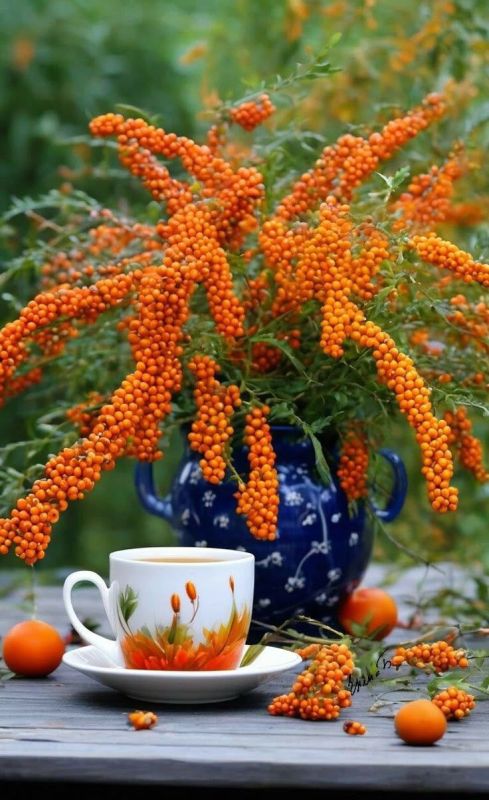 Доброе утро, Алчевск!. Осень, похоже, смилостивилась и даёт нам небольшую передышку от непогоды