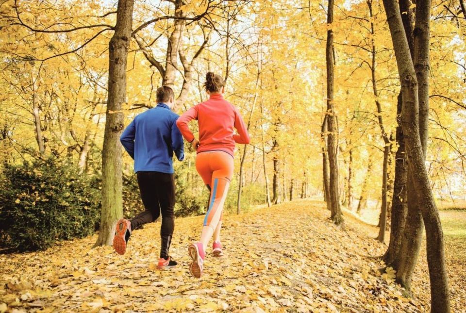 ������� �������: ���� ������ ��������� ������ ������