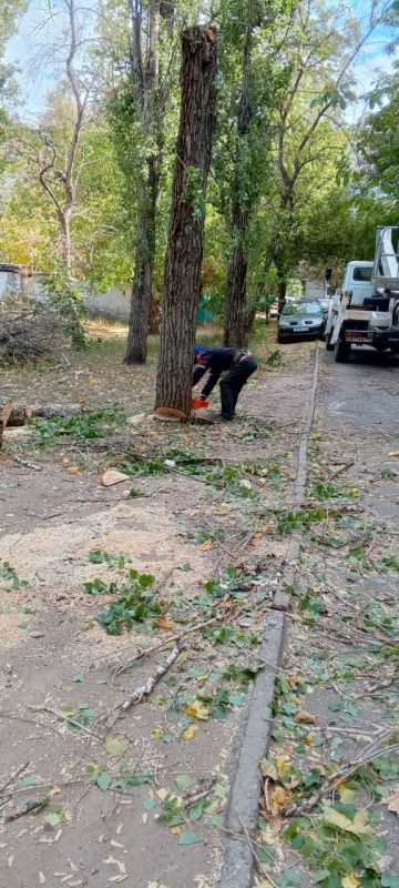 Виктория Сергеева: Коммунальщики в действии. Сегодня подводим итоги о проделанной работе за неделю