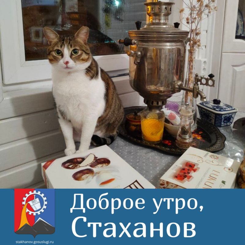 ������ ���� �������. ����� ���� ���� ����� ����� � ������� ������� ����� ��� ������