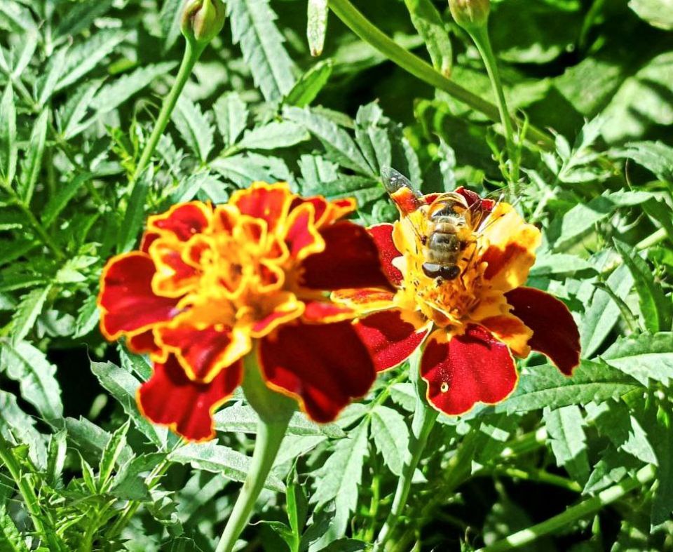 С добрым утром,кировчане!. Пусть Ваш день будет лёгким, интересным и полным новых открытий