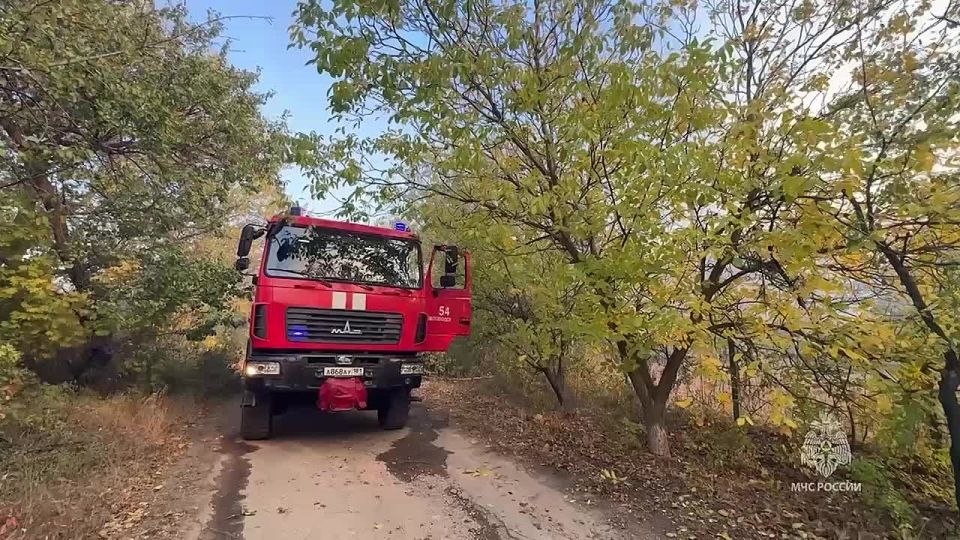 В ЛНР продолжают ликвидировать пожары