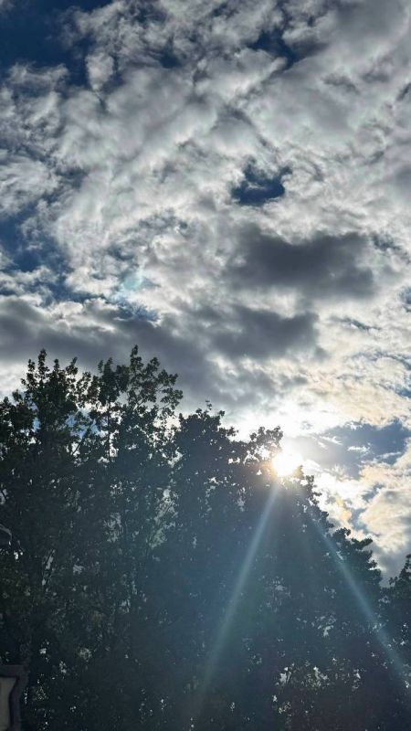 ��������� ������������ 5 ������� � ��� �� 7 �������� ���� ���� ����� � �� 18 �������� ����� ����, ������ ����� � ��������� ������� ��������� �� 20 �/�