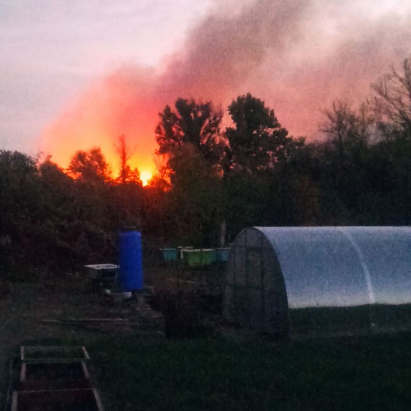 Жители пгт Городище благодарят спасателей за ликвидацию пожара