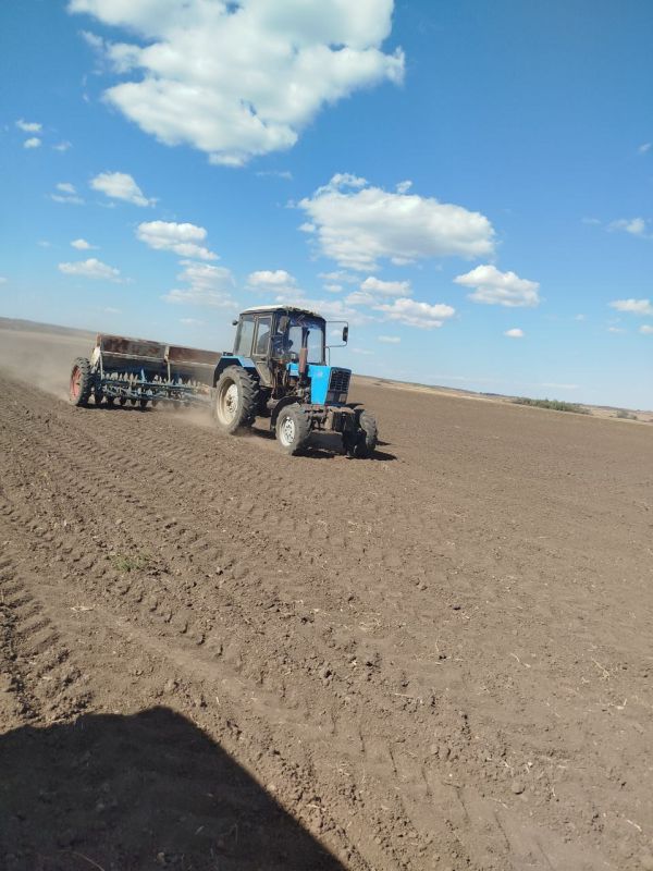 Сельскохозяйственные предприятия городского округа город Ровеньки активно ведут осенние сельскохозяйственные работы