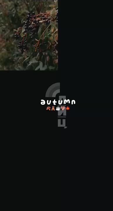 � ������ ������� �����! ���� ������� ������� ������!