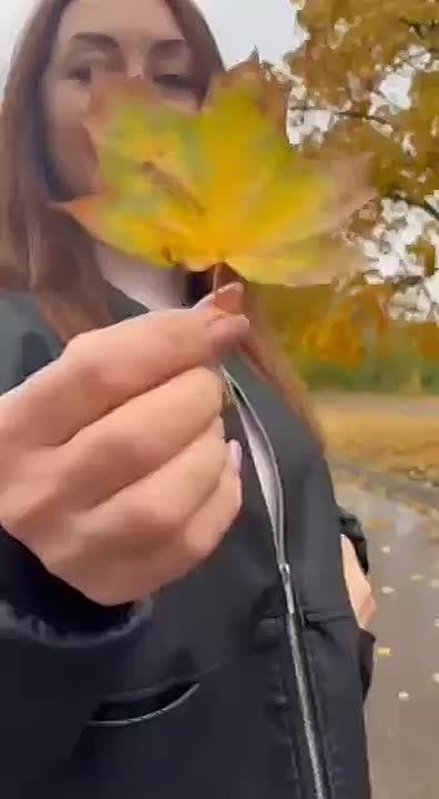 ���� � ���������� ���������� ��������� � �ͨ� �������