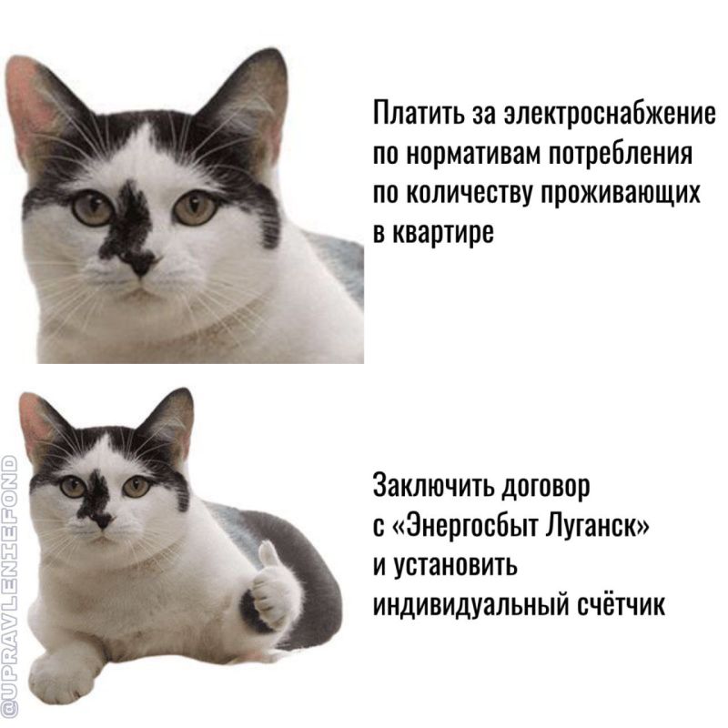 � ������ ���� ���������� ��?