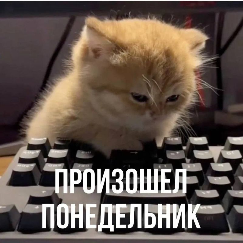 ������ ��������: ����������� � ����� ���������� ���� ������
