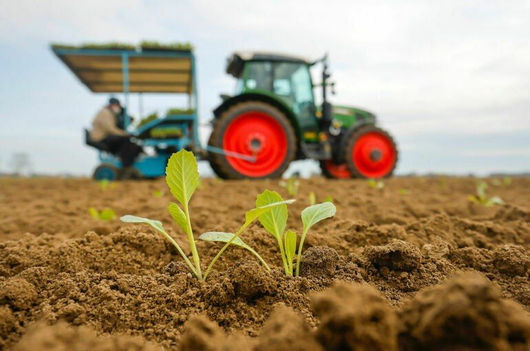 Вниманию арендаторов земельных участков!
