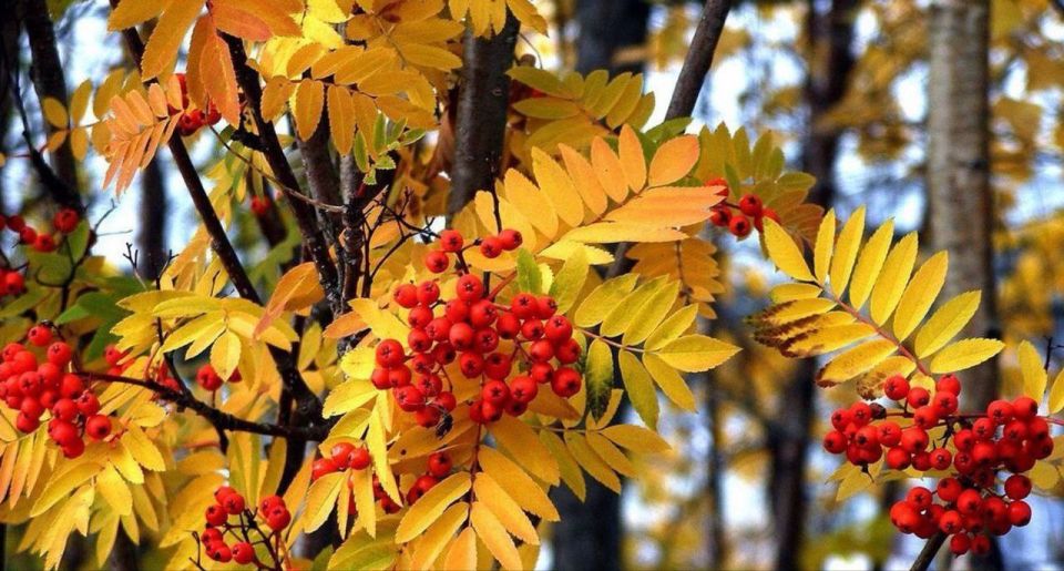 Доброе утро, Алчевск!. Открываем очередной лист календаря, начинаем новую рабочую неделю