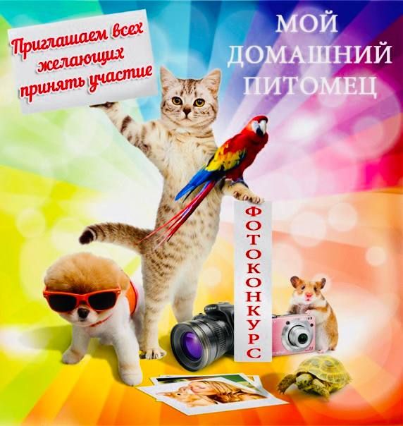 ������-����������� ���� �������� ��������