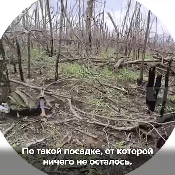 ����� ���: ������� �� ������� ����� �������� ������� ���� � ���, ����� �������� ����� ����� ���������������