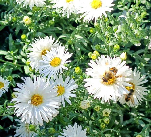 Доброе утро Кировск!. Пусть этот день будет лёгким, продуктивным и наполнен хорошим настроением! @agklnr #КировскЛНР