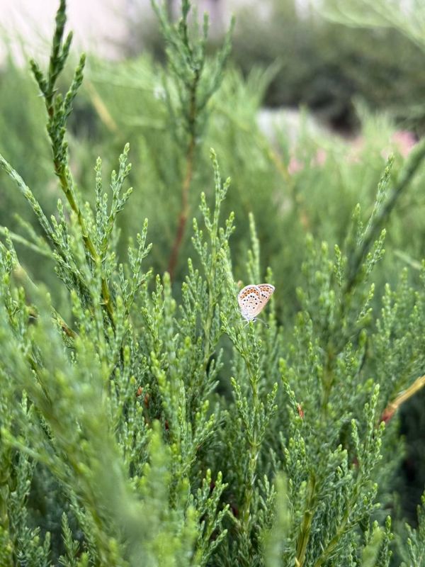 С добрым утром, жители Марковского муниципального округа!
