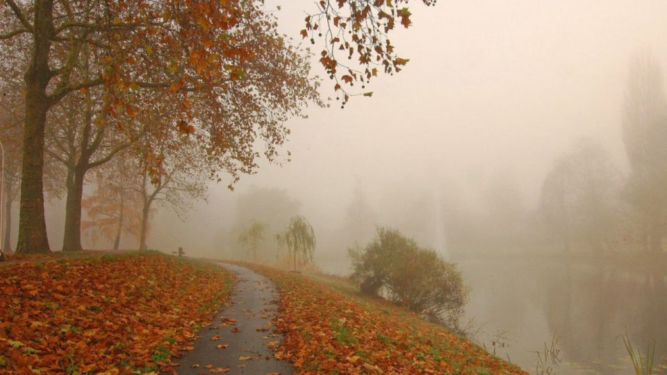 Доброе утро! Прогноз на вторник, 7 октября