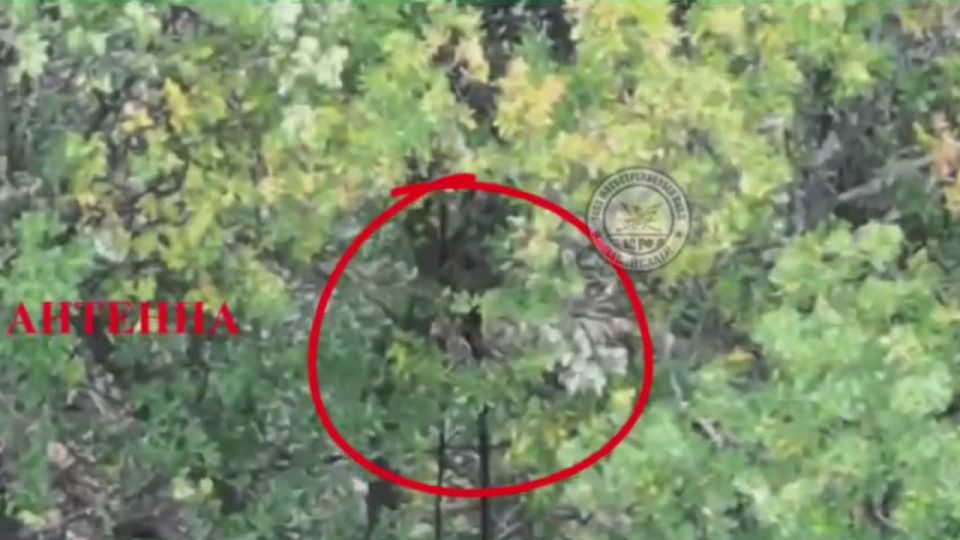 ��������� FPV-������ ������ ������� ����� ����������� ����� ���������� ����� � ������� ���������� ���� �������� ��������