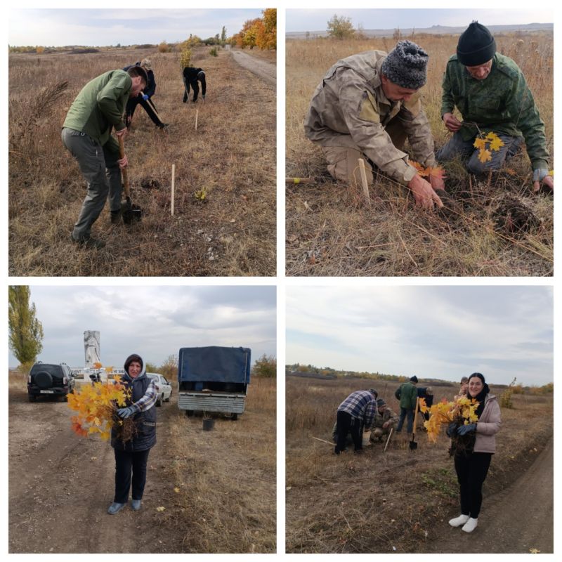Сотрудники отдела по обеспечению жизнедеятельности пгт Чернухино совместно с работниками Чернухинского участкового лесничества «Ивановский лесхоз» в рамках Всероссийской акции «Сохраним лес» высадили 30 саженцев клёна на...