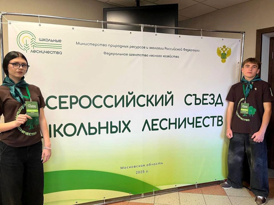 ������ �������: ��������� �� ��������� �������� ���������� ������� ������� � VIII ������������� ������ �������� ���������� � ���������� �������