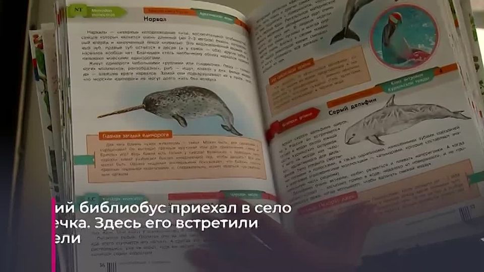 ����� ���������� ����������� ���������