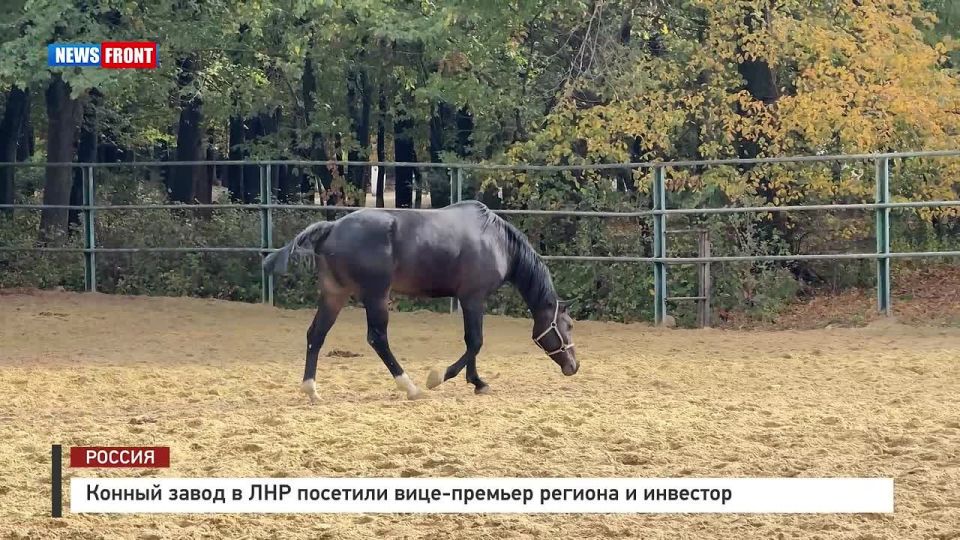 ������ ����� � ��� �������� ������� ������� � ��������