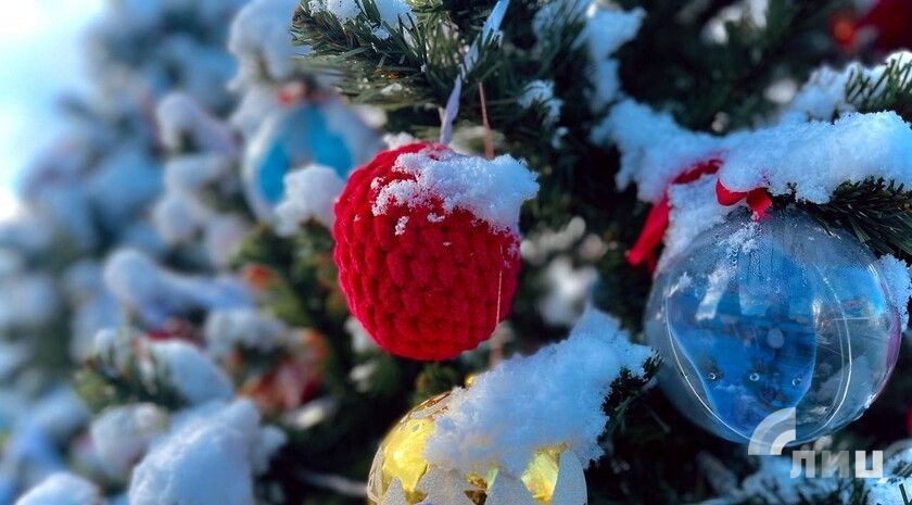 �������: ���������� �������� 2026 �. ����� ������ �������� �� ��������� ����