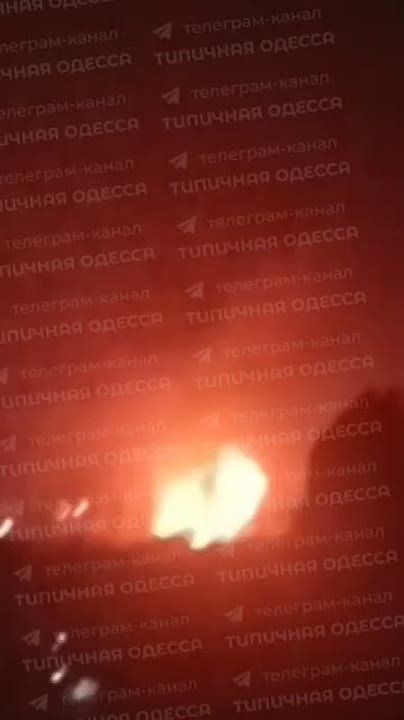 В порту Ильичевска Одесской области зацвела Герань