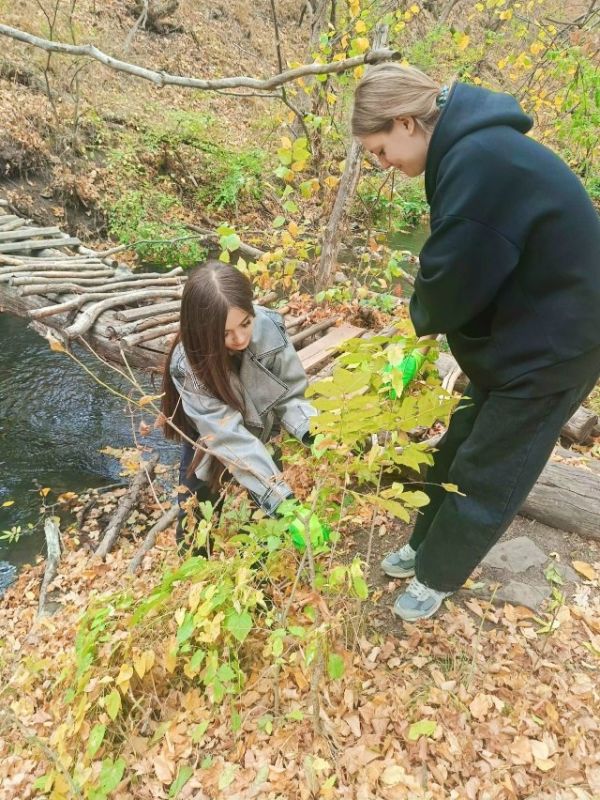 Учащиеся 11 класса Ясеновской школы 2 им. Д.В. Лазутина приняли участие в экологической акции "Вода России"