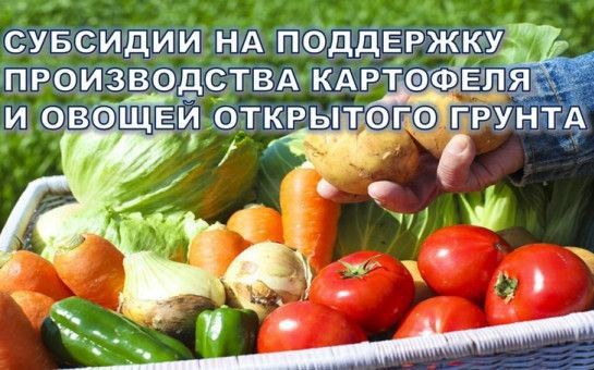 ОБЪЯВЛЕНИЕ О ПРОВЕДЕНИИ ОТБОРА ПОЛУЧАТЕЛЕЙ СУБСИДИИ