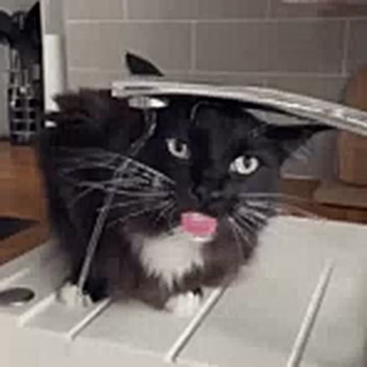 ������ ������� ������ �������� ���� � �����