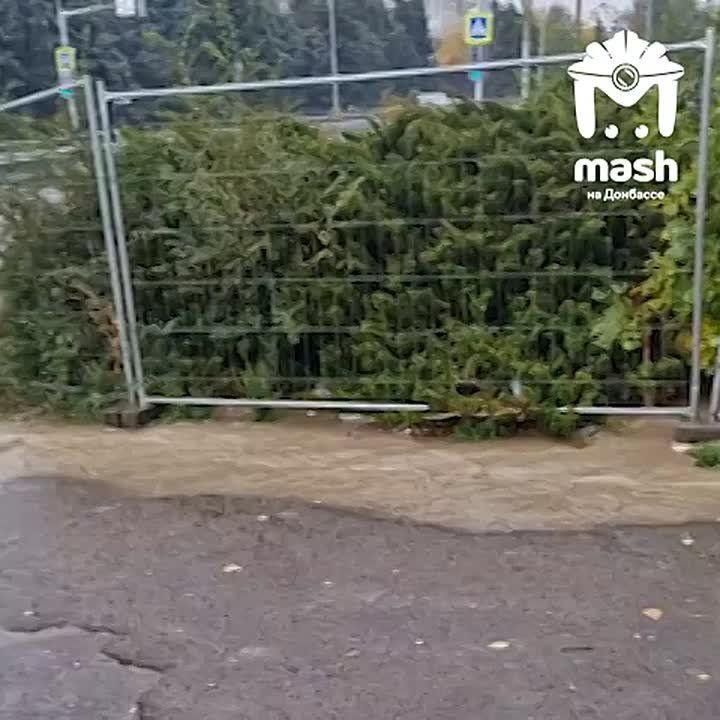 ��������� � ����� ��������� ������� ��������� �������� ��������