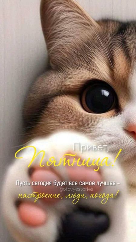 � ������ �����!. ������� 10 �������