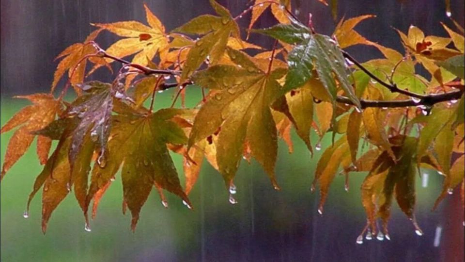 Доброе утро, Алчевск!. Встречаем сырую и промозглую пятницу