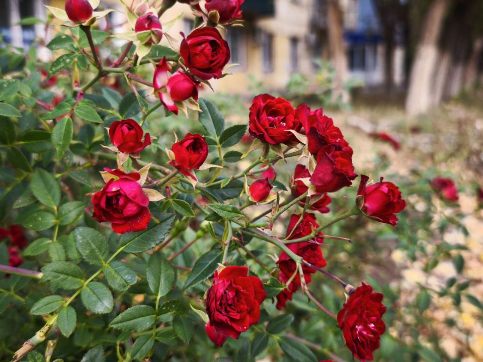 Доброе утро, дорогие кировчане!