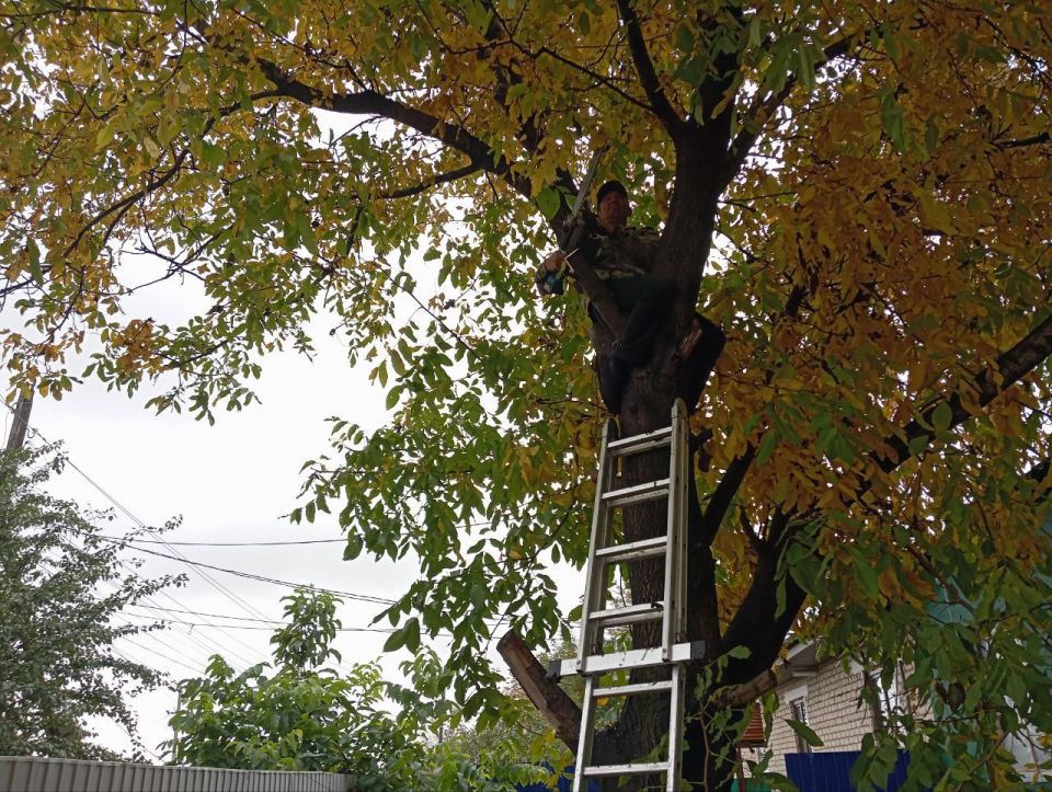 Поддержка семей военнослужащих, погибших, выполняя свой долг в зоне специальной военной операции, является приоритетным направлением в работе Администрации городского округа город Ровеньки
