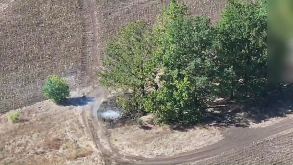��������� 71-� ������� ����� ����������� ����� ���������� ����� ���������� ���� �������� �������� �� �����������-����������� �����������