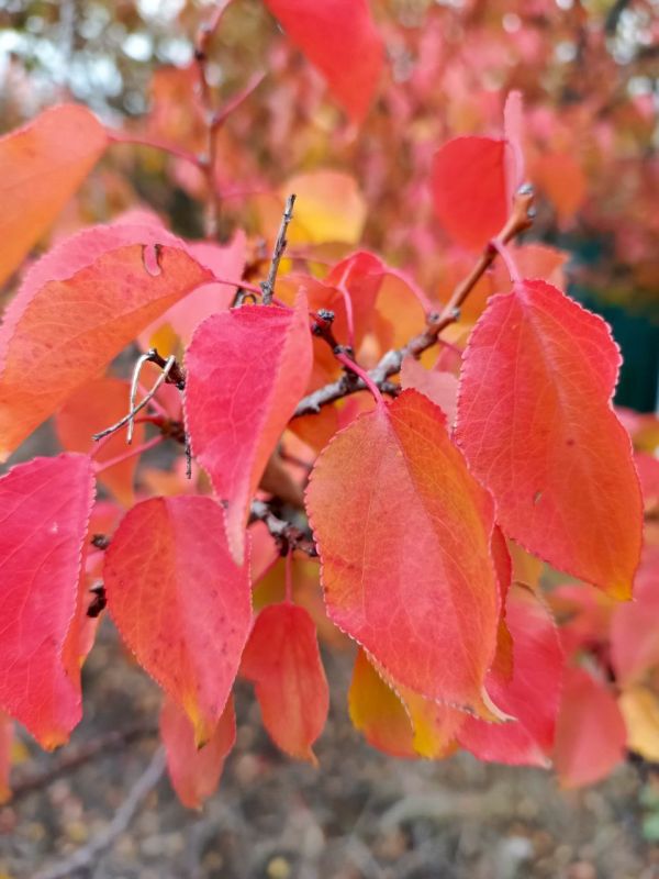 Доброе субботнее утро, кировчане!