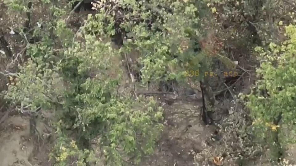 �������������� ����� ����������� ����� ���������� ��� ������ ���������� ���� � ���������� R-18 �������� �������� �� ���������������� ����������� � ���
