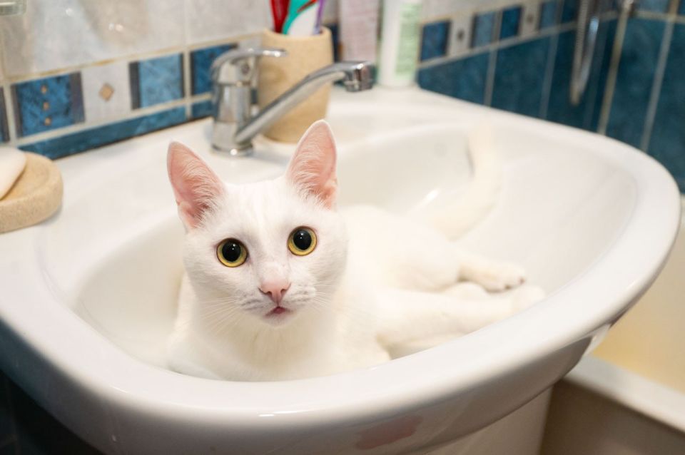 В Перевальском районе ЛНР 12 октября отключат воду из-за ремонта