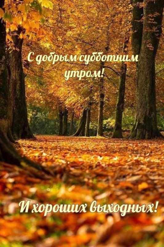� ������ �����!. ������� 11 �������