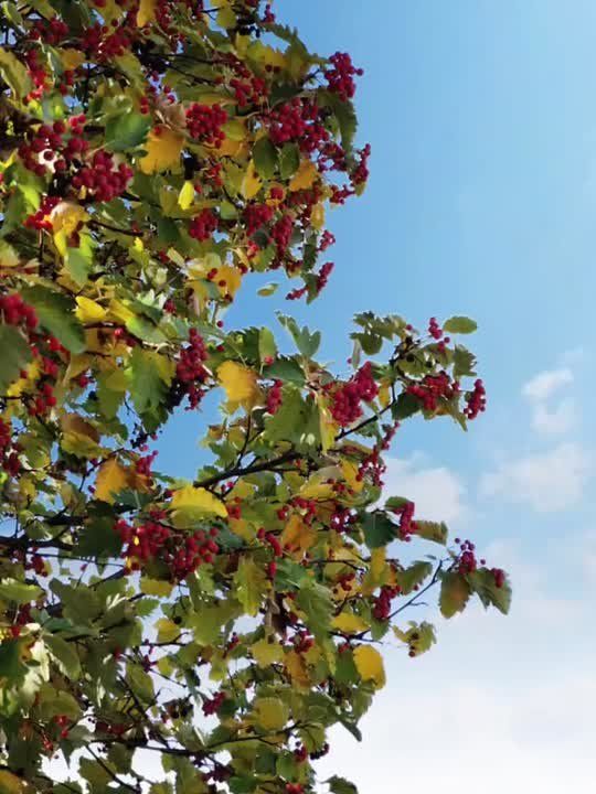 Доброе утро, Кировск!. Желаем всем хорошего дня и позитивного настроения! @agklnr #Кировск