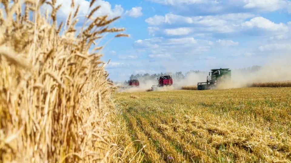 Сегодня отмечается профессиональный праздник работников сельского хозяйства Луганщины