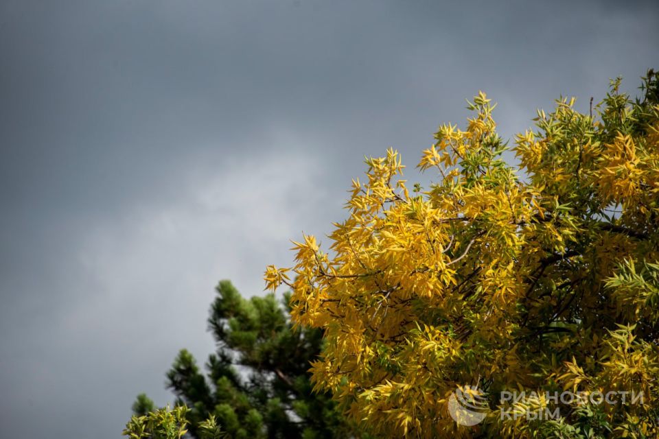 Погода на новых территориях России