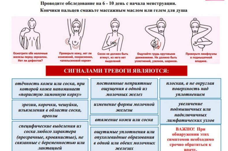 ������������ ��������: � 13 �� 19 ������� - ������ ������ � ����� �������� ������