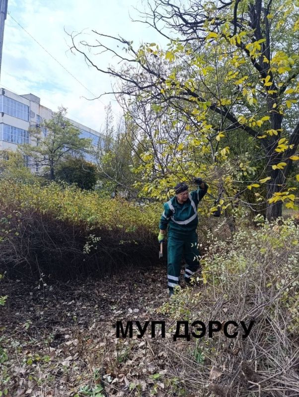 �� ������ � 6 �� 10 ������� ����������� ��� "�����" ���� ��������� ��������� ������: