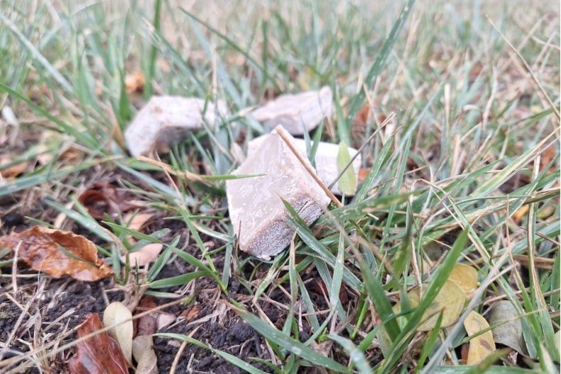 ��������: ���������� - ������ �� ���������